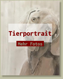 Tierportrait Mehr Fotos