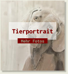 Tierportrait Mehr Fotos